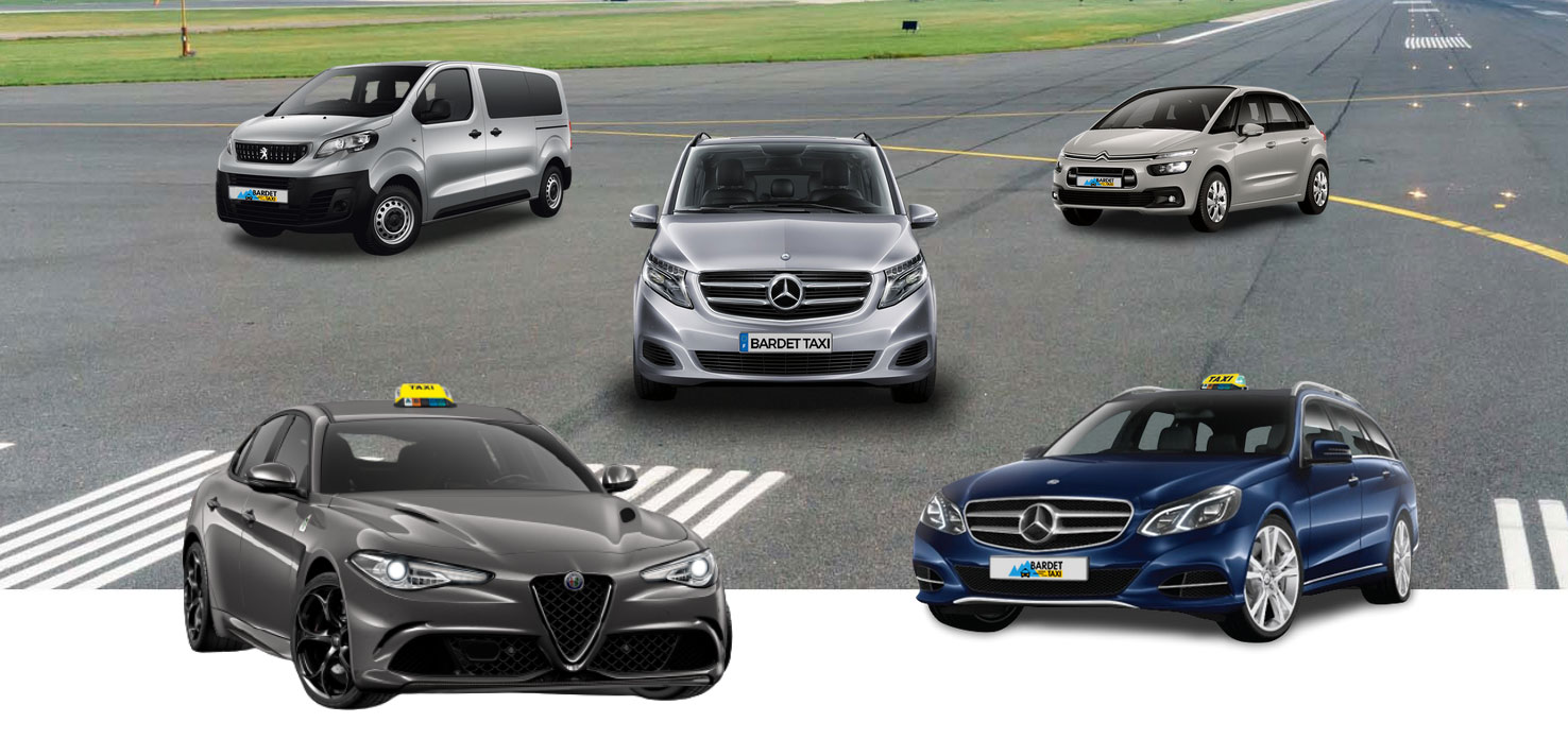 Batdet-taxi-Annecy-Mobile-2020